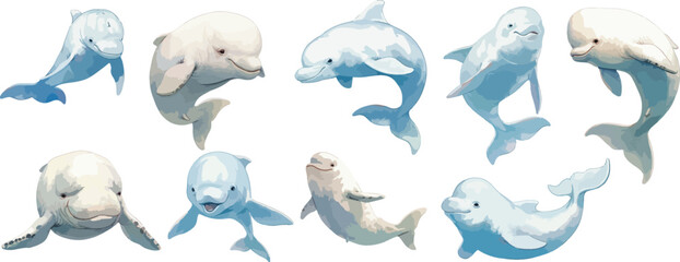 beluga watercolor clipart
