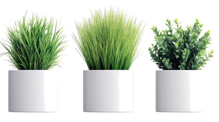 Plants in Stylish White Pots Generative AI