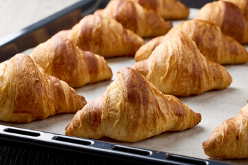 freshly baked croissants