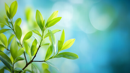Obraz premium Vibrant Green Leaves Against A Bright Blue Sky