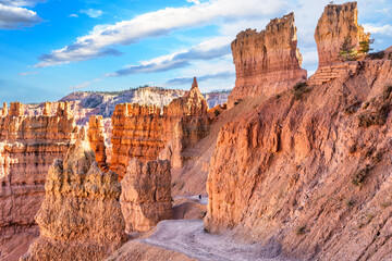 Fototapeta premium Navajo loop trail in Bryce Canyon National Park, Utah. Bryce Canyon is a collection of giant natural amphitheaters along the eastern side of the Paunsaugunt Plateau
