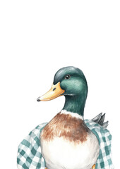 Obraz premium Hand drawn mallard duck blanket pattern on transparent background