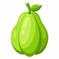 Chayote vector illustration white background