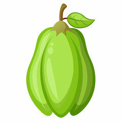 Chayote vector illustration white background