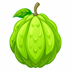 Chayote vector illustration white background