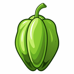 Chayote vector illustration white background
