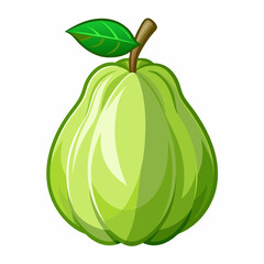 Chayote vector illustration white background