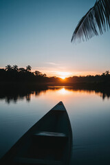 The amazon river, south american nature, Brazil, Colombia, Peru, pristine jungle, aerial shot, HDR style photo, perfect for magazine or nature themed articles, epic composition, negative space, drama