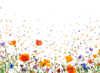 PNG Flowers confetti border background nature spring.