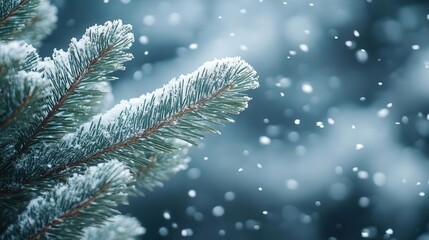 Snow-covered trees, close-up of snow gently falling on evergreen branches, peaceful winter setting