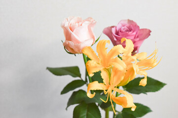 薔薇とリコリス