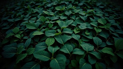 Dense cluster of verdant leaves, varying in size and shape, creating an intricate, vibrant tapestry of nature's artistry