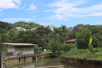 manmade drainage canal through urban setting and dense tropical rain forests curves off into the distance under blue skies