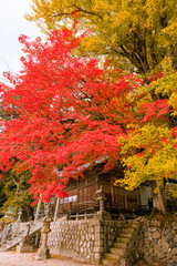 秋の神社