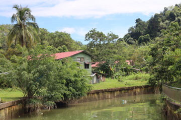 Obraz premium abandoned neglected building beside manmade drainage canal in dense tropical forest under partly cloudy blue sky