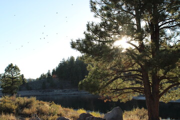morning on the lake