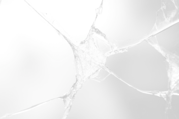 PNG Cracked glass cracked cracked glass appliance.