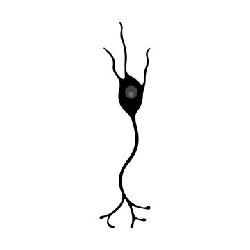 Enteric Icon Enteric Images – Browse 66,680 Stock Photos, Vectors, and Video | Adobe ...