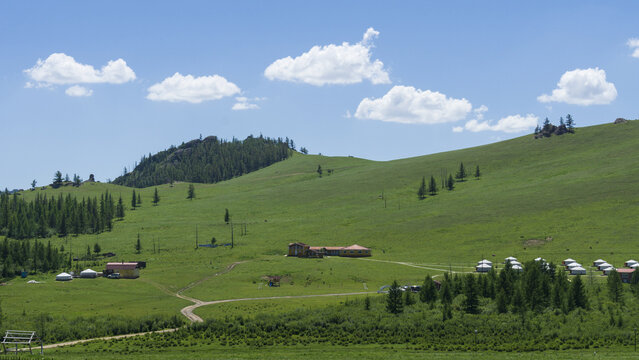 주택,게르,초원,언덕,나무,몽골