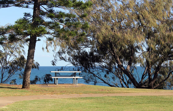 Picnic table and trees next to the ocean at Elliott Heads in Queensland, Australia