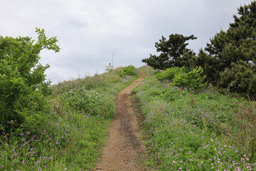 섬 정상을 올라가는 길 제주 제주시 한림읍 한림리 비양도