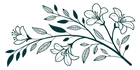 Boho geometric botanical elements: wavy branches, flowers, and leaves for logos, social media, packaging, or cards. Vector transparent background