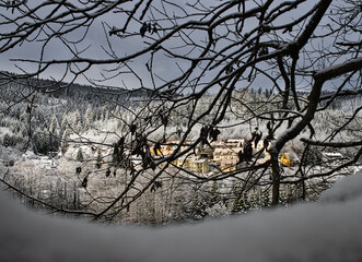 Houses with in Winter