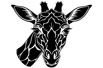 Discover the Fascinating World of Wild Animals: Facts, Habitats, and Conservation