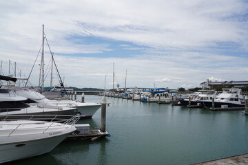 Fototapeta premium A scenic marina with numerous boats and yachts moored along the pier, offering a tranquil setting ideal for leisure, sailing, and waterfront recreation under sunny skies. 