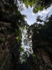 View of tall cliffs and trees overlooking clear skies, with the sun peaking through. Surrounded by the largeness of nature, captured in a low-angle high quality image.