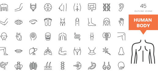 Collection of outline icons depicting various human body parts and systems.