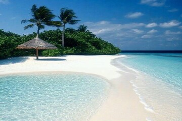 Fototapeta premium Idyllic tropical beach with palm trees, thatched umbrella, and crystal-clear turquoise water.