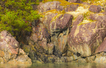 Landscape Along The River