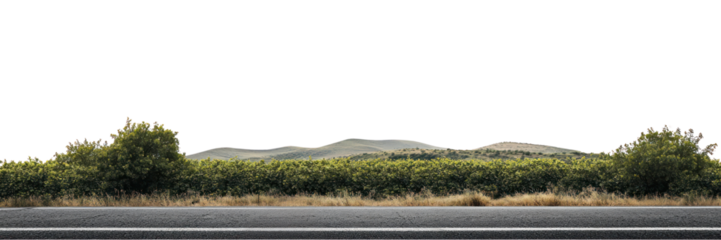 PNG Real asphalt road trees countryside landscape.