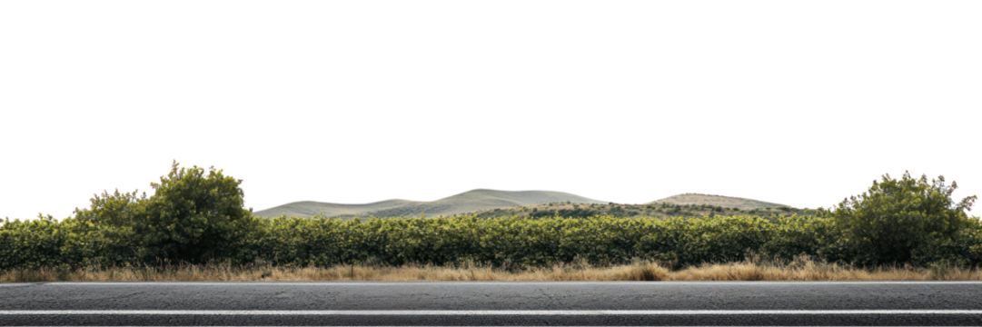 PNG Real asphalt road trees countryside landscape.