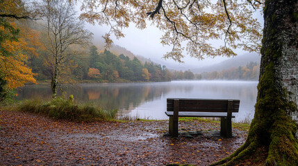 Obraz premium Tranquil lake view with autumn foliage and a wooden bench in a serene setting