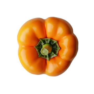 Vibrant colerfull Bell Pepper Fresh and Juicy Produce on wight background
