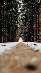 Snowy Forest Path  Winter Wonderland  Snowfall  Trees  Nature