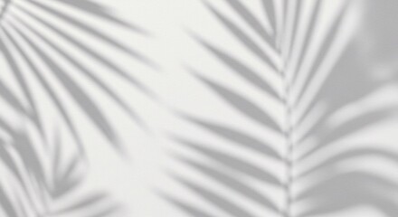 Obraz premium Tropical leaves natural shadow overlay on white texture background, for overlay on product presentation, backdrop and mockup, summer seasonal concept 