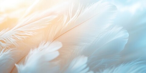 A soft, ethereal close-up of delicate feathers, blending shades of white and pale blue, creating a tranquil and serene atmosphere.