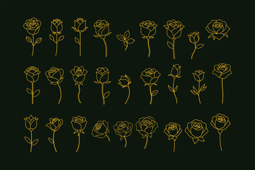 Elegant Golden Rose Line Art Vector Collection.