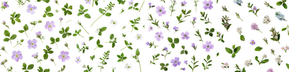 Vibrant Floral Background with Blooming Flowers Green Leaves Herbs and Foliage in a Seamless Pattern  Natural Botanical Decor Suitable for Spring Garden or Nature Themed Designs