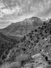 Zion landscape 