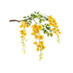 Fototapeta premium A detailed rendering of a golden shower tree (ราชพฤ…