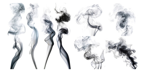Fototapeta premium Elegant Smoke Swirls on Transparent Background
