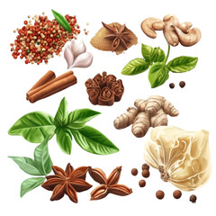 Collection of Aromatic Spices and Herbs on wight background