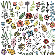 Colored Set of Vector Plants and Flowers