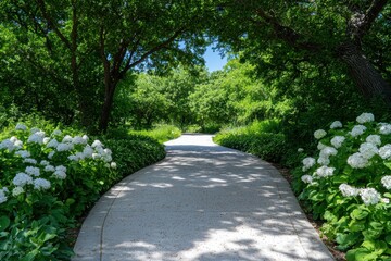 Obraz premium A curving pathway through a lush garden with white hydrangeas