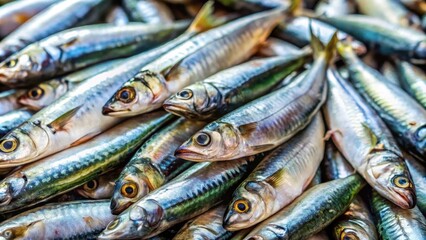 Close up of fresh sardines displayed at a traditional fish market, sardines, seafood, market, fish, display, fresh