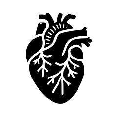 Human Heart Anatomy: A detailed illustration of a human heart, showcasing its intricate structure and vascular system.  The image is rendered in bold black silhouette.